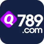 Q789 Game Download APK login and withdrawal guide Pakistan